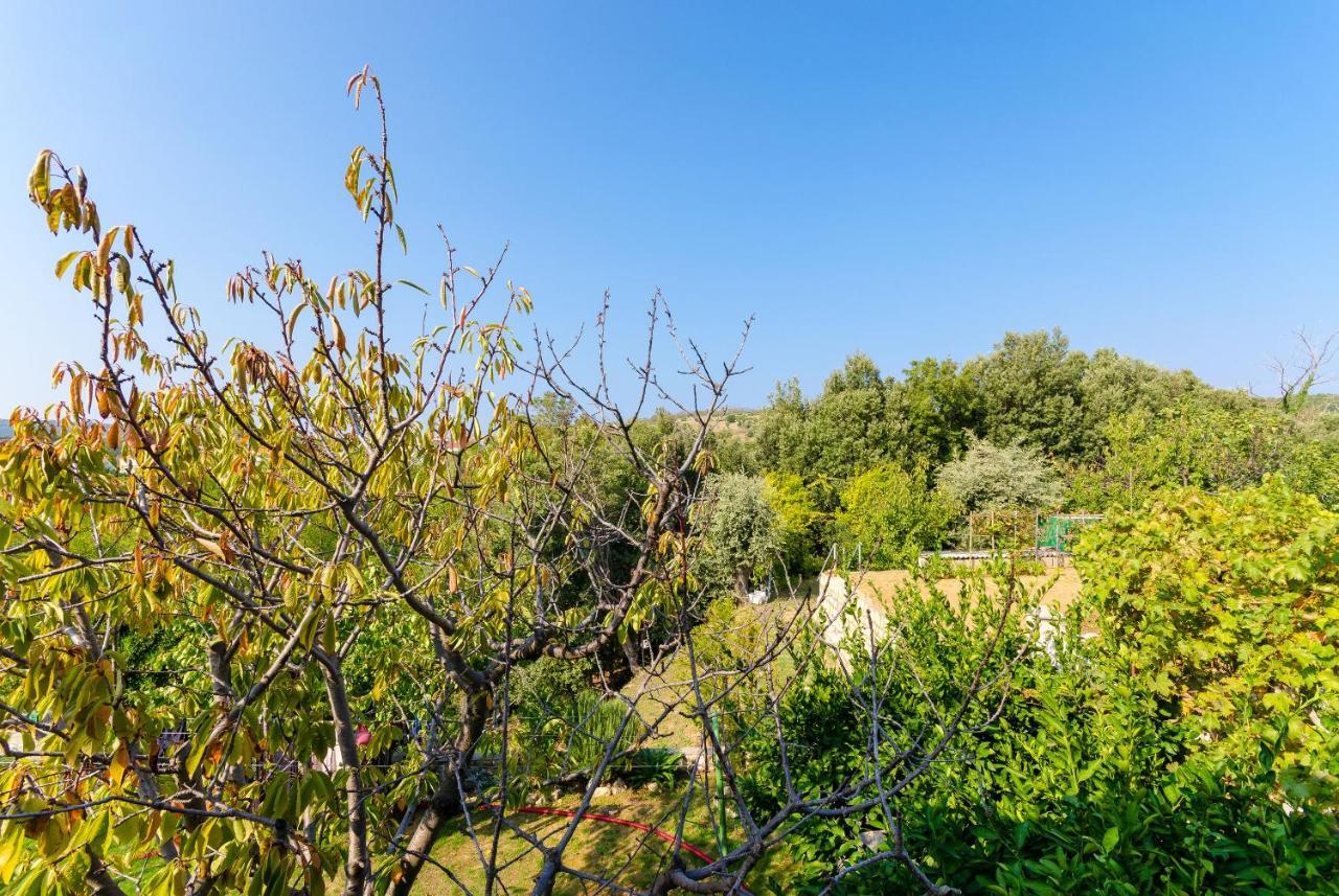 Apartments Ruza A Lopar Εξωτερικό φωτογραφία